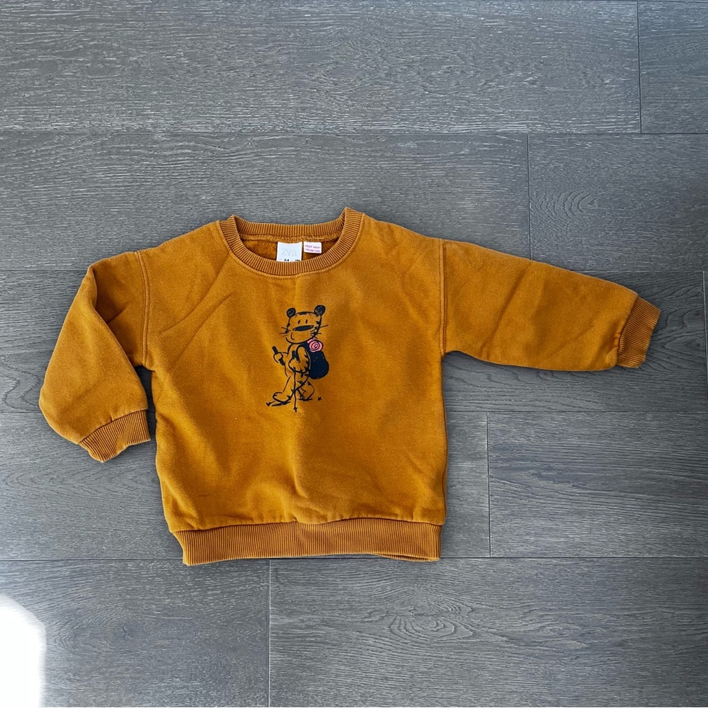Zara sweater